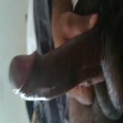 3630 - Black Cock Gallery