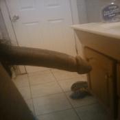 3693 - Black Cock Gallery