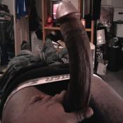 3784 - Black Cock Gallery