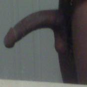 3804 - Black Cock Gallery