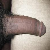 38150 - Black Cock Gallery