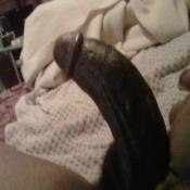 3821 - Black Cock Gallery