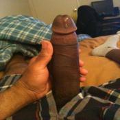 3822 - Black Cock Gallery