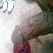 38284 - Black Cock Gallery