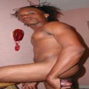 38410 - Black Cock Gallery