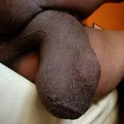 38524 - Black Cock Gallery