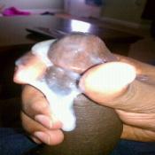 3854 - Black Cock Gallery