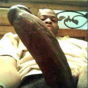 38603 - Black Cock Gallery