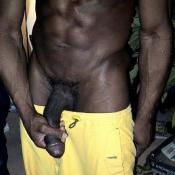 38664 - Black Cock Gallery
