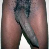 38708 - Black Cock Gallery