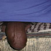 38931 - Black Cock Gallery