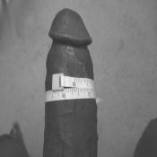 38936 - Black Cock Gallery