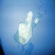 38941 - Black Cock Gallery