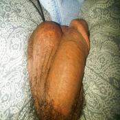 38944 - Black Cock Gallery