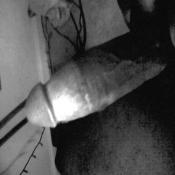 39107 - Black Cock Gallery