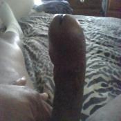 39134 - Black Cock Gallery