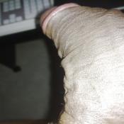 39229 - Black Cock Gallery