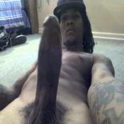 3925 - Black Cock Gallery