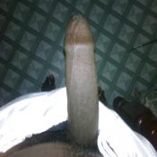 39341 - Black Cock Gallery