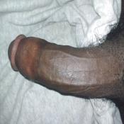 39398 - Black Cock Gallery