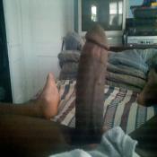 39425 - Black Cock Gallery