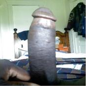 39426 - Black Cock Gallery