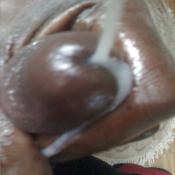 39471 - Black Cock Gallery