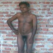 39477 - Black Cock Gallery