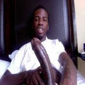 3971 - Black Cock Gallery