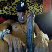 4083 - Black Cock Gallery