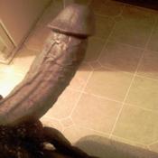 4088 - Black Cock Gallery