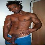 41656 - Black Cock Gallery
