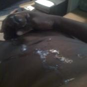 41854 - Black Cock Gallery