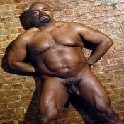 41885 - Black Cock Gallery