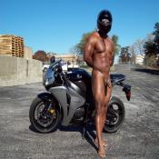 41986 - Black Cock Gallery