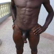 42095 - Black Cock Gallery