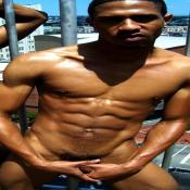 42162 - Black Cock Gallery