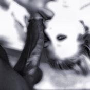 4224 - Black Cock Gallery