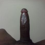 42509 - Black Cock Gallery