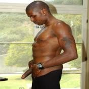 42554 - Black Cock Gallery