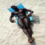 42635 - Black Cock Gallery