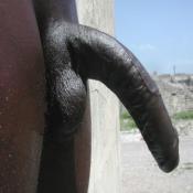 42706 - Black Cock Gallery