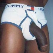 42944 - Black Cock Gallery