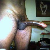 42957 - Black Cock Gallery