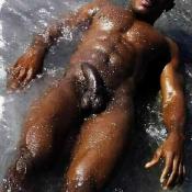 43027 - Black Cock Gallery