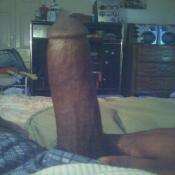 43074 - Black Cock Gallery