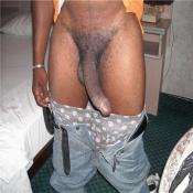 43137 - Black Cock Gallery