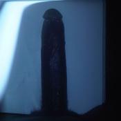 43345 - Black Cock Gallery