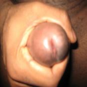 43371 - Black Cock Gallery