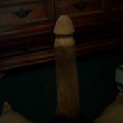 43483 - Black Cock Gallery